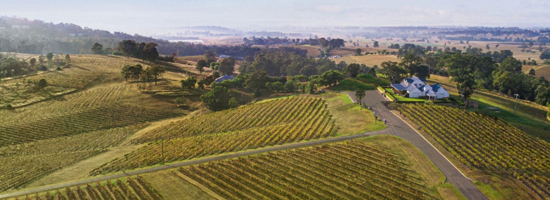 newsletter-audrey-wilkinson Aerial view over Audrey Wilkinson vineyard in Pokolbin, Australia